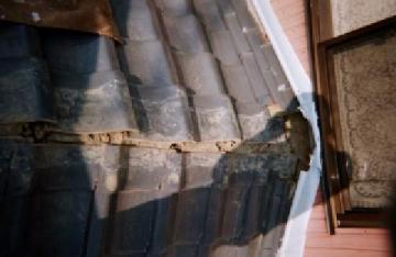 瓦屋根のエコロジカル補修