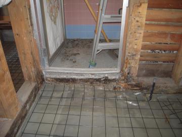 出た！！　床下にムカデ