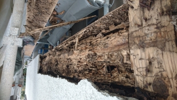 胴差が無い　！