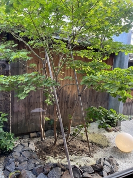 立場変われば・・・