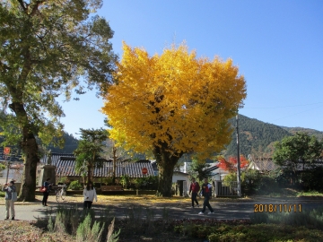 隈（クマ）さんの図書館／ゆすはら
