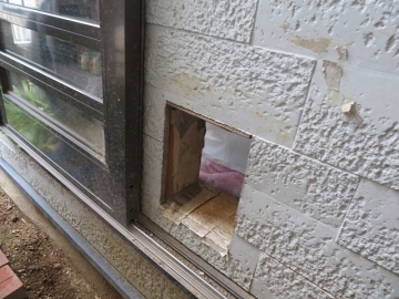 にゃんこの出入り口