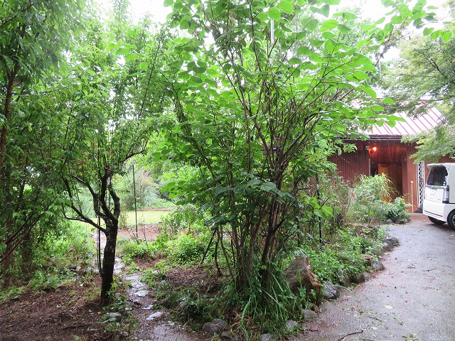 季節の移ろいがある住まい