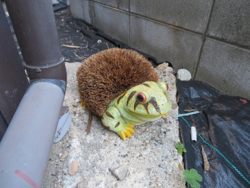 毒をもっていそうな面構え