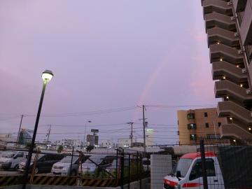 夕方の虹