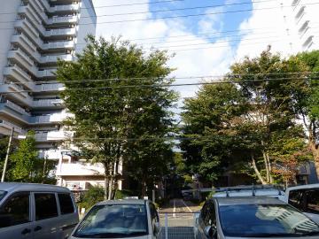 マンションリフォーム、ただ今スッピン状態