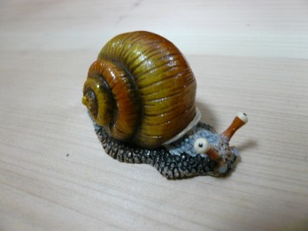 本日　木造３階建住宅セミナー