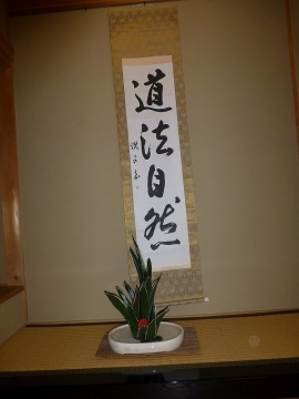 おもと（万年青）のおもてなし