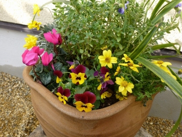 外構を雑木林の景色風に