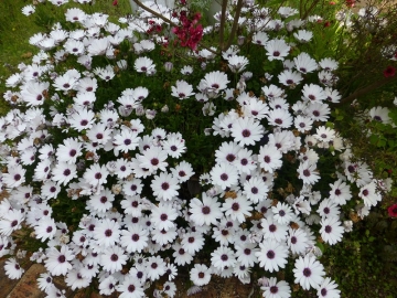 なにげに家事分担