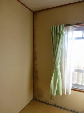 マンションのカビ対策