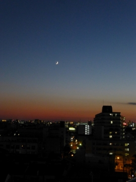 ドラキュラが出そうな夜