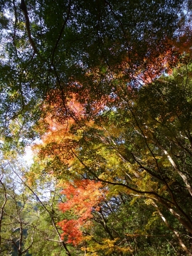 手づくりカガミ・マンションリノベ