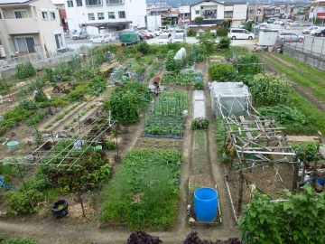 ラッキーなおすそわけ