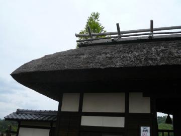 国際ソロプチミストのチャリティバザー