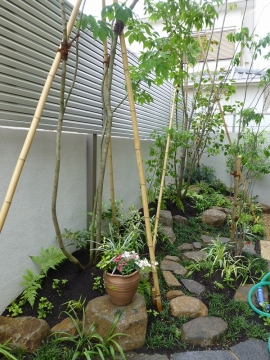 木がそよぐ庭づくり