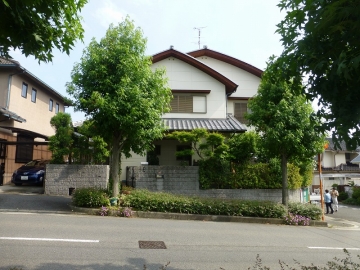 そやから言うてるやろ