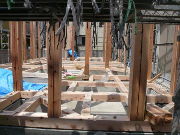 防蟻処理・試しました