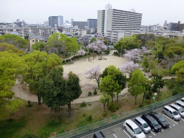 防音室でプチコンサート