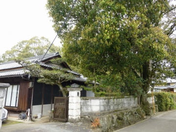 壊すのは勿体なくて