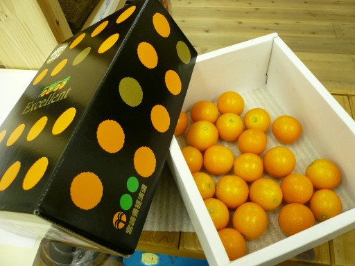 金柑「たまたま」