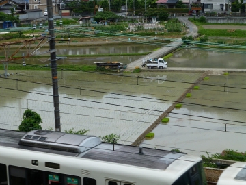 田植えと笠地蔵