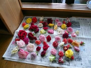 消費税のゆくえ