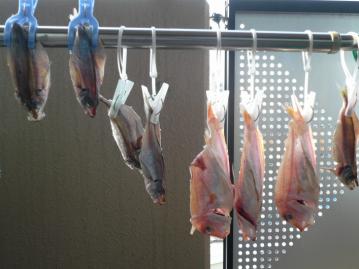 久しぶりの阪急電車