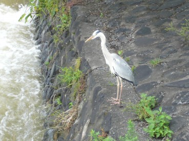 お神楽の耐震性は