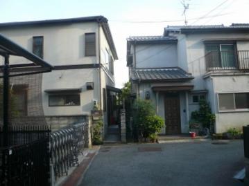 オカメインコは見た・すっきり解体