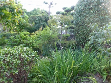 お家でテントＤｏ