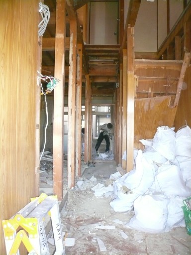 きなこの日向ぼっこ