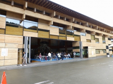 受話樹ってどんな木