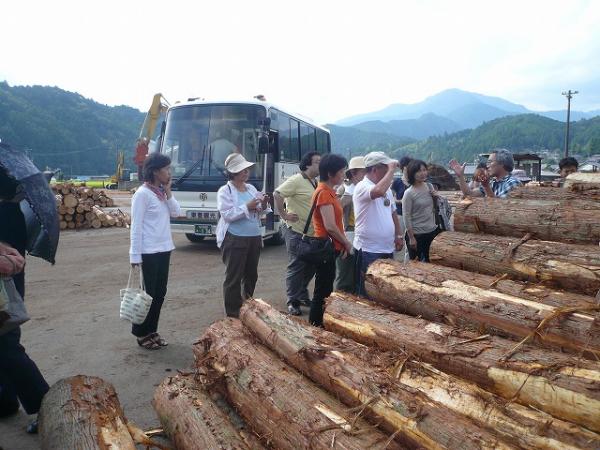 木材市場のセリ見学　ｉｎ  千早赤阪