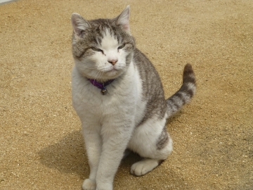 ぽかぽか陽気に見学会