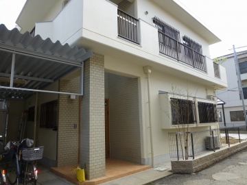 ナツツバキの花一輪