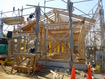 あぁぁ、農薬か