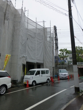 ノウゼンカズラの侵略