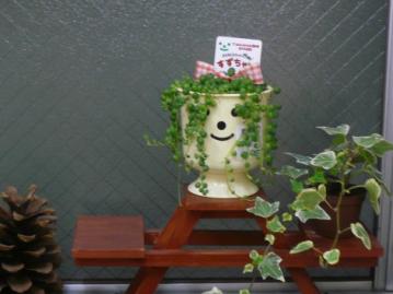 三重県の製材所さんが被害に