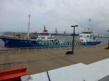 そして海遊館は残った