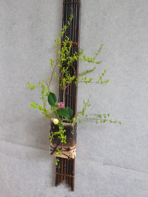 アクアマリンちゃん