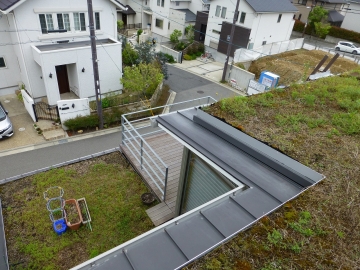 屋根緑化のある家