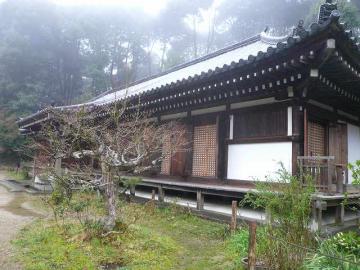 浄瑠璃寺と煎茶講座ツアー