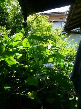 どうしょう・他人事とは思えません