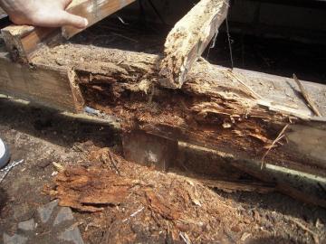 １２年目のヒノキのテラス