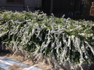 元気出してゆこう