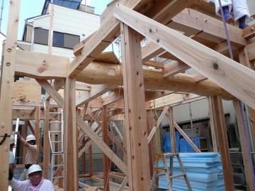 顔を出した松丸太