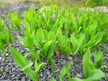 家相をどこまで考える？