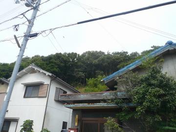 カラスの騒ぐ日に基礎工事