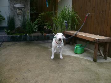 実践的　「涼しい住まい方」